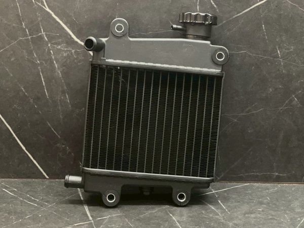 画像2: 🐍SCRK ビッグラジエーター｜シグナスグリファス / NMAX 2型 / X FORCE対応。💧 (2)