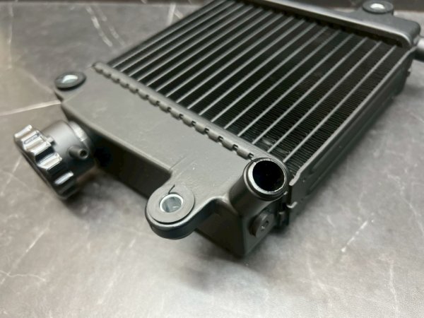 画像5: 🐍SCRK ビッグラジエーター｜シグナスグリファス / NMAX 2型 / X FORCE対応。💧 (5)