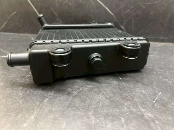 画像6: 🐍SCRK ビッグラジエーター｜シグナスグリファス / NMAX 2型 / X FORCE対応。💧 (6)