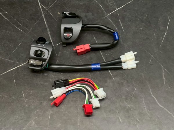 画像1: 🔧 台湾スイッチスワップキット【シグナスX/5型 国内仕様専用】 (1)