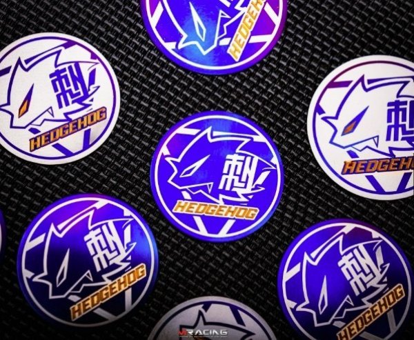 画像4: 🦔 HEDGEHOG（ヘッジホッグ）チタン カーボン ロゴプレート｜35mm (4)