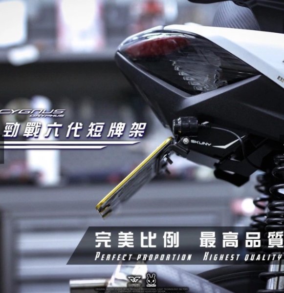 画像1: 🐰SKUNY フェンダーレスキット｜シグナス グリファス（6型）対応　スクーニ (1)