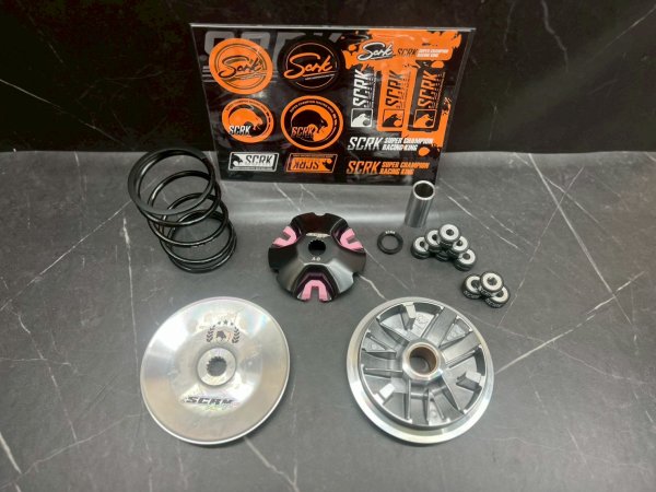 画像1: 🐍【SCRK ワールドチャンピオン プーリーセット｜シグナスX 1〜5型対応】 (1)