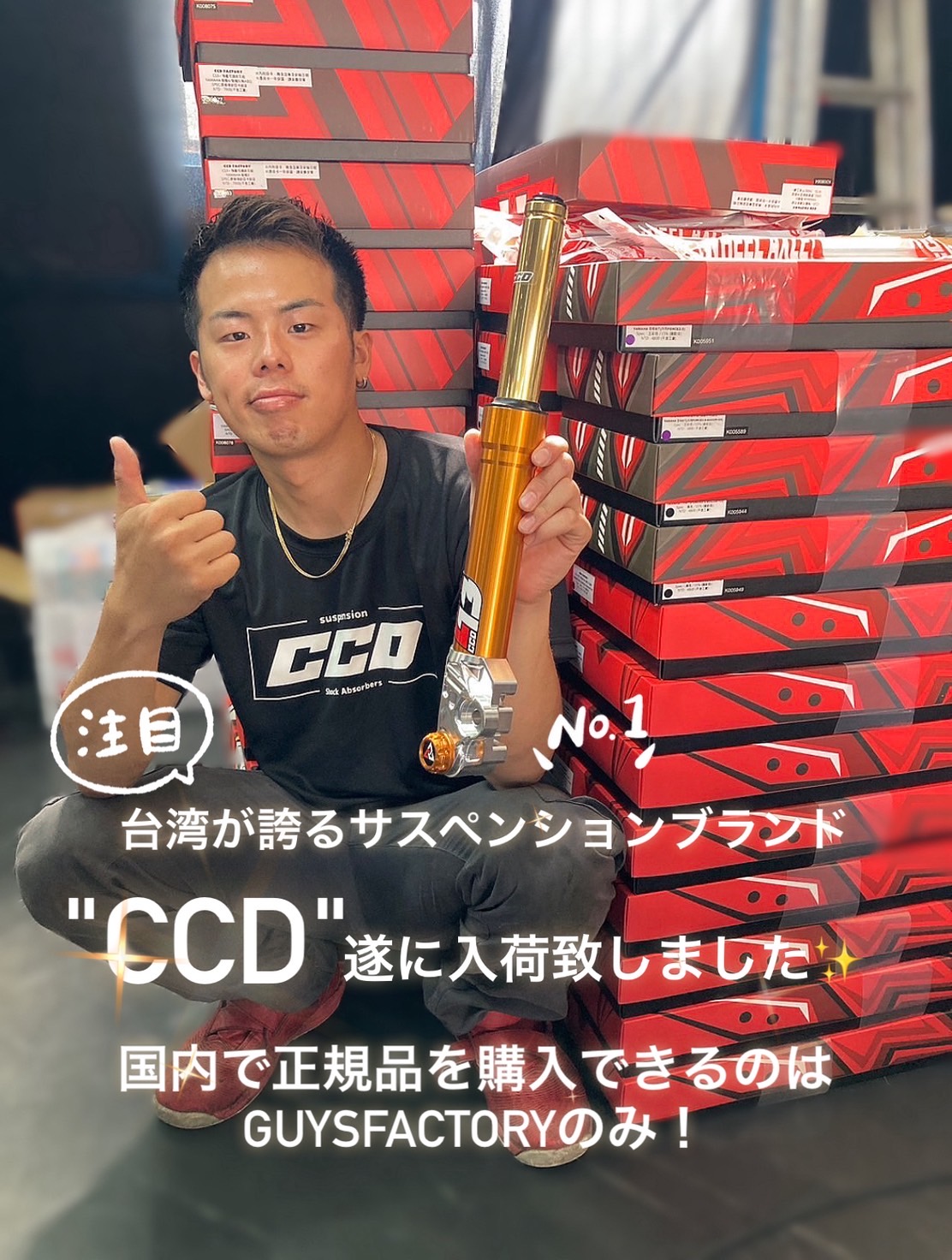 【CS優勝構築参考】リースシデン 4Cshiden シデンビート 【追跡付き】 o1-1024x630.png